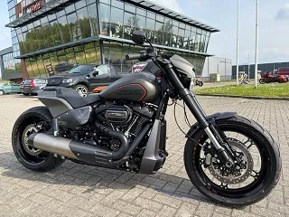 Harley-Davidson Softail (2019) — foto 1