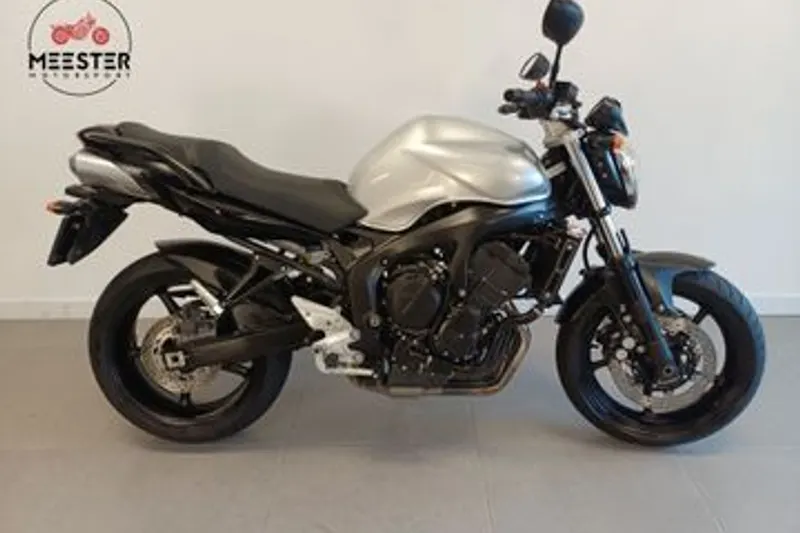 Yamaha FZ 6N (2009)