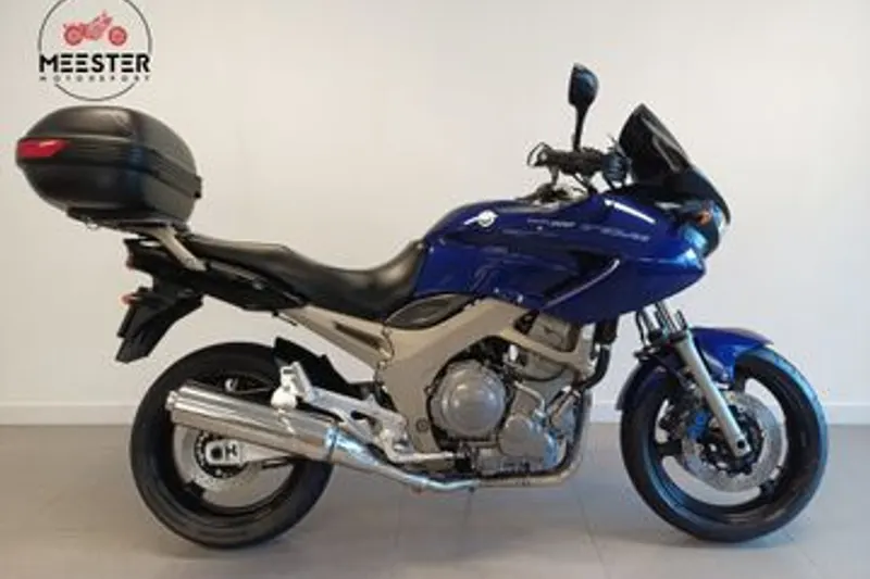 Yamaha TDM 900 (2004)