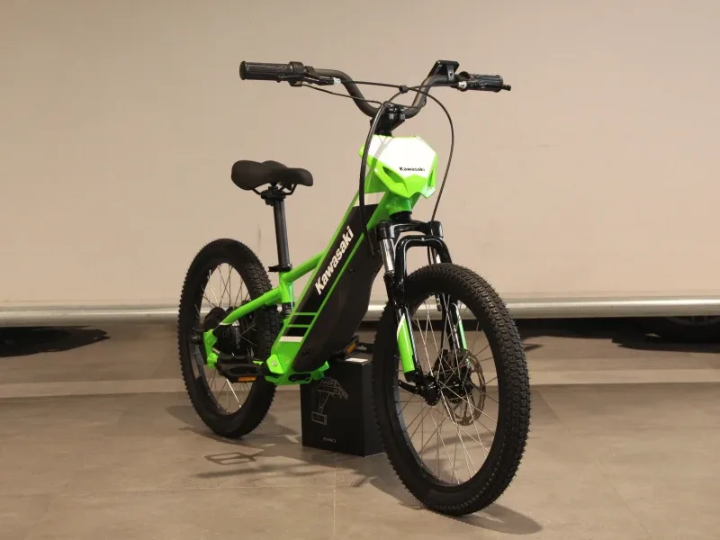 Kawasaki ELEKTRODE 20 (2025) — foto 1