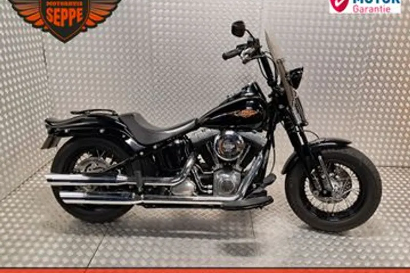 HARLEY-DAVIDSON CROSS BONES FLSTSB (2011)