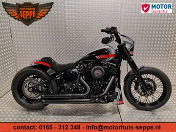 Harley-Davidson Softail (2020) — foto 1