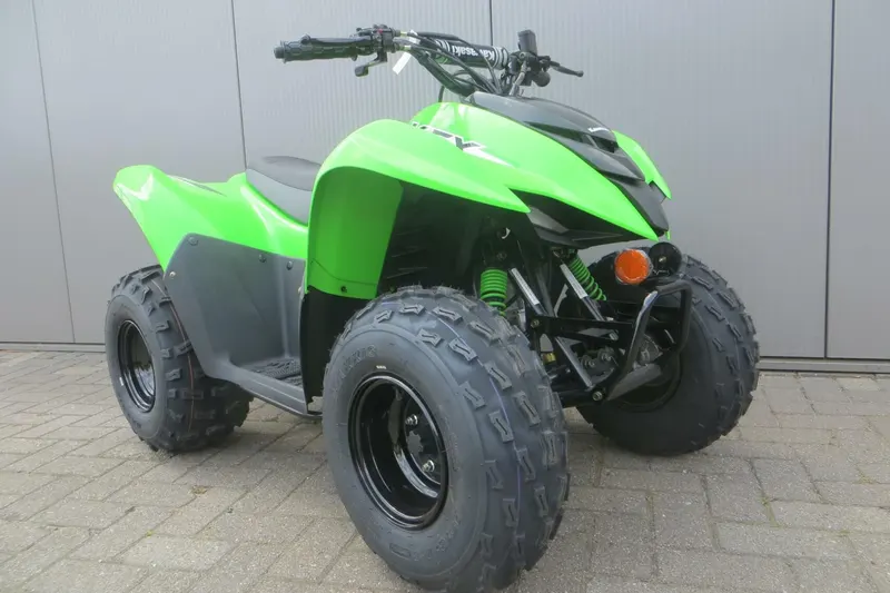 Kawasaki Kfx90 (2026)