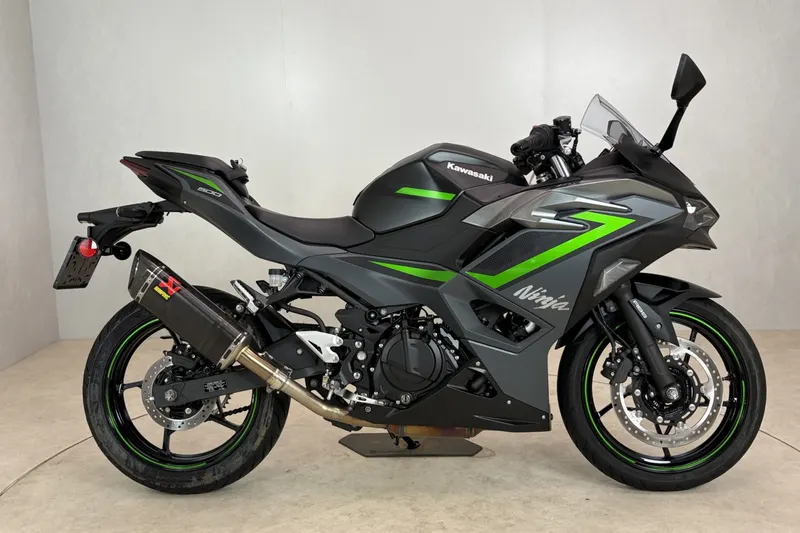 Kawasaki Ninja 500 (2024)