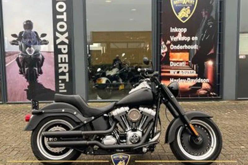 Harley-Davidson FAT BOY LO Flstfb (2010)