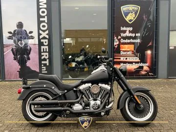 Harley-Davidson FAT BOY LO Flstfb (2010) — foto 1