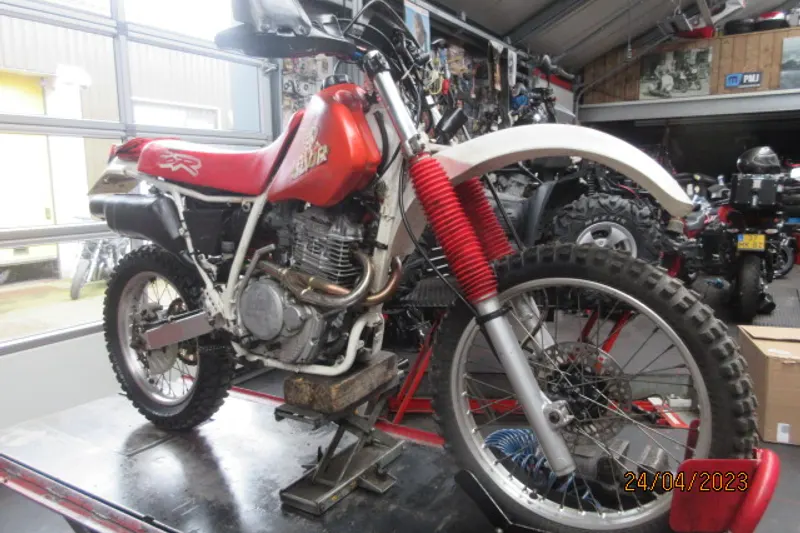 Honda XR 600 R (1993)