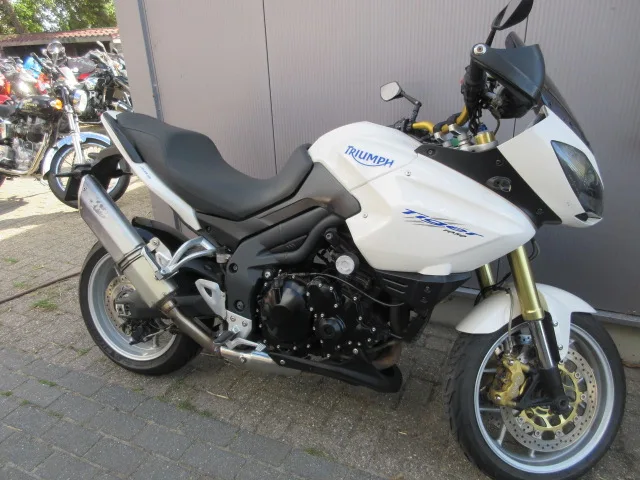 Triumph Tiger 1050 (2008) — foto 1