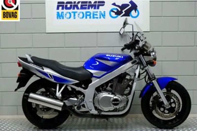 Suzuki GS 500 (2002)
