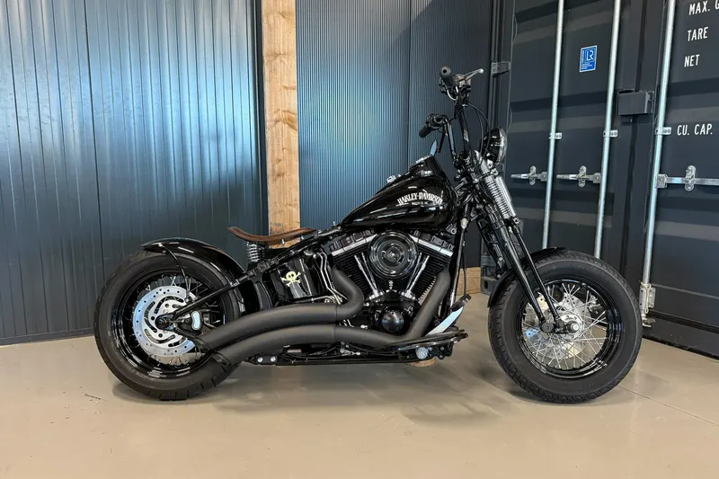 Harley-Davidson Crossbone (2010)