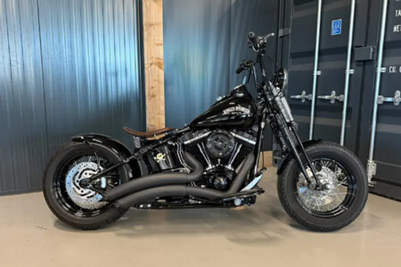 Harley-Davidson Crossbone (2010)
