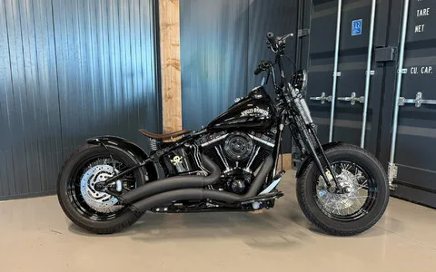 Harley-Davidson Crossbone (2010) — foto 1