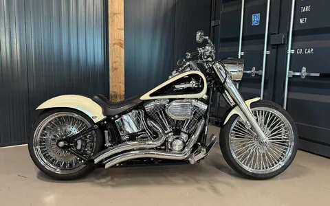 Harley-Davidson Softail (2005) — foto 1