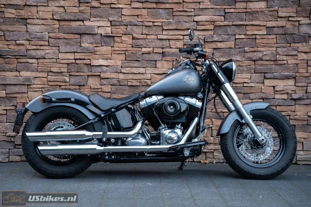Harley-Davidson Softail Slim 103 (2015) — foto 1