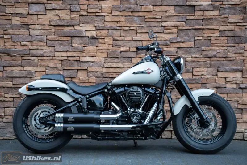 Harley-Davidson Flsl Softail Slim 107 M8 FLSL (2019)
