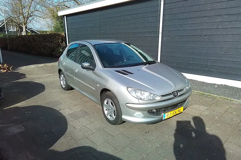 Peugeot 206 (2006)