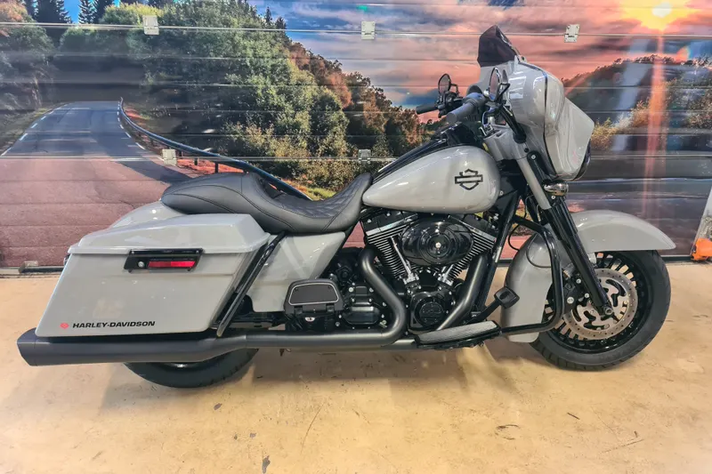 Harley-Davidson FLHX LOOK (2009)