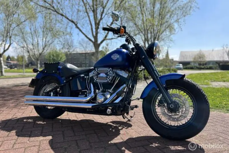 Harley-Davidson Chopper 103 FLS Softail Slim (2012)