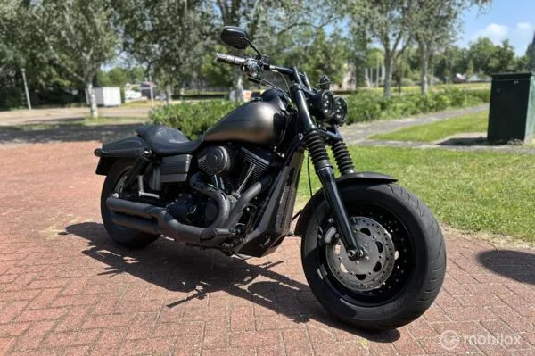 Harley-Davidson Chopper 103 FXDF Dyna Fat Bob (2012) — foto 1